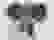 item-51142968=2