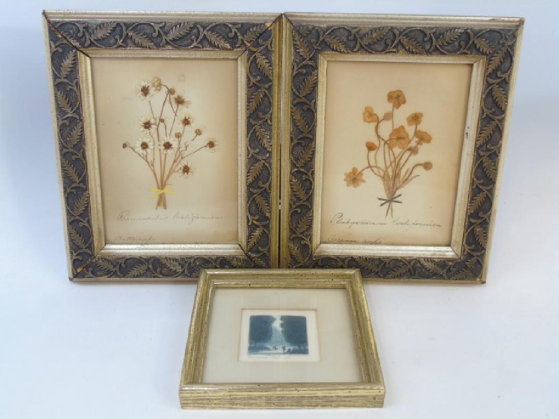 Pair Antique Botanical Studies & Vintage Engraving (1 of 4)