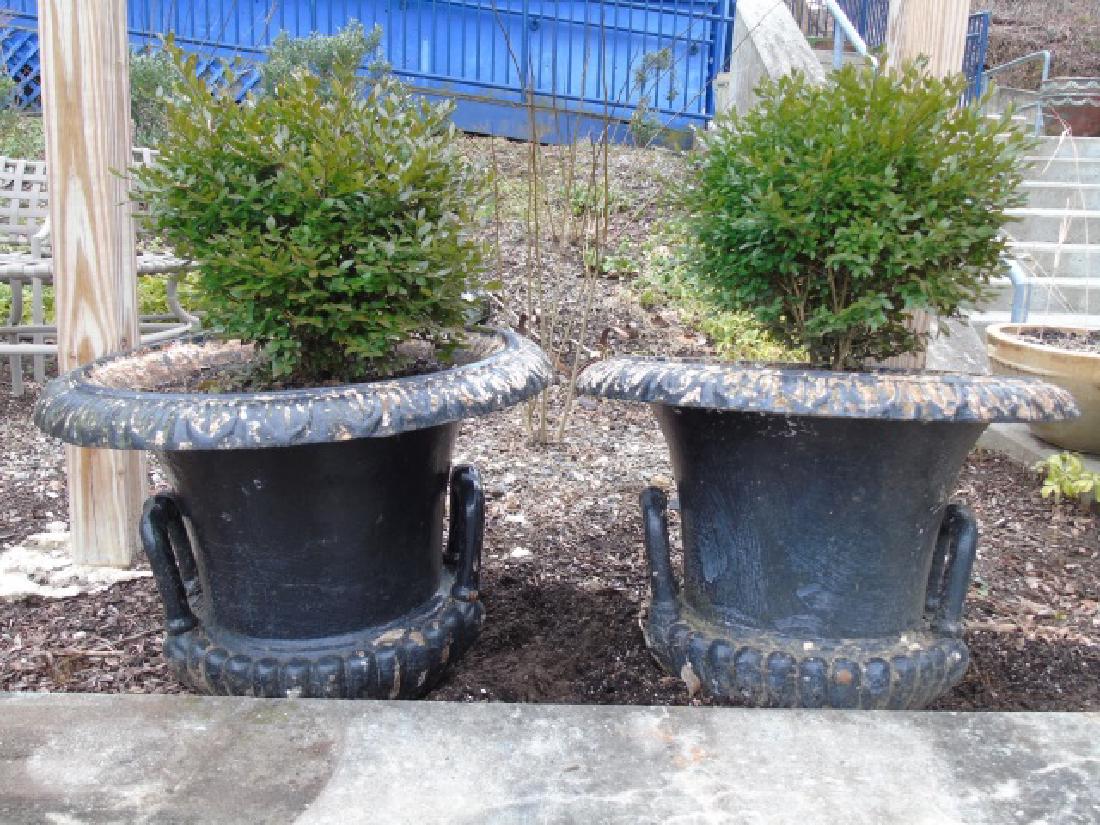 Pair of Antique Large Victorian Black Urns (1 of 3)