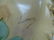 2 Limoges Antique Hand Painted Porcelain Platters - 3