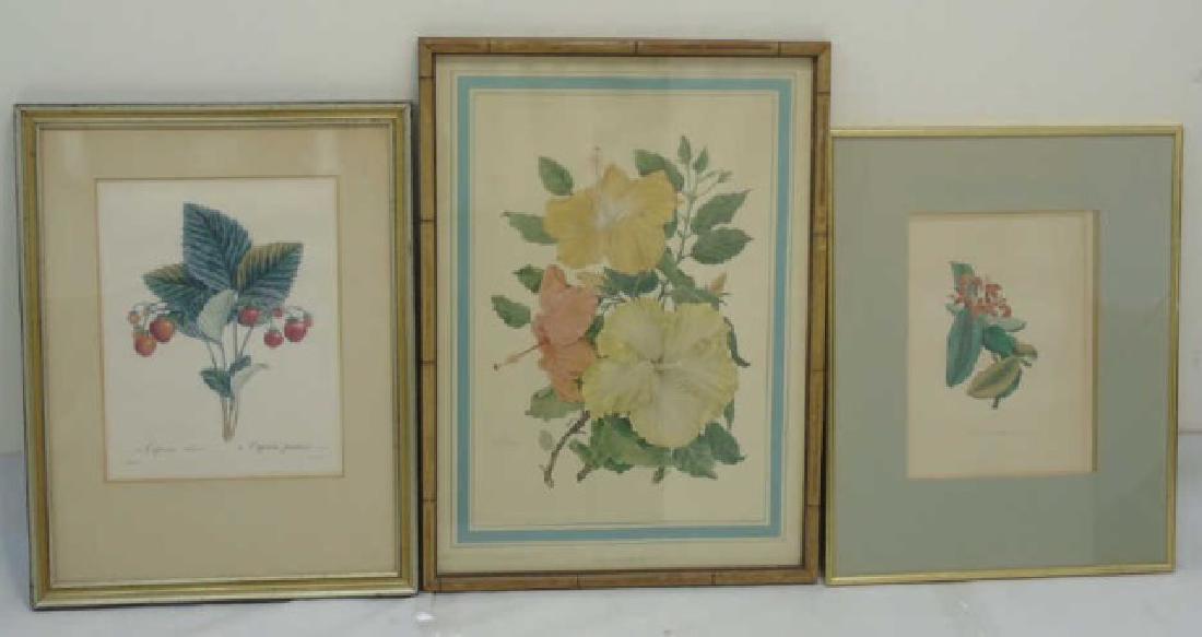 3 Botanical Prints incl c1823 Handcolor Engraving (1 of 8)