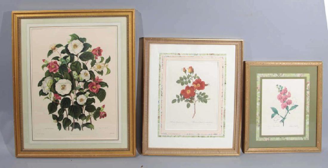 Trio Gold Professionally-Framed Botanical Prints (1 of 10)