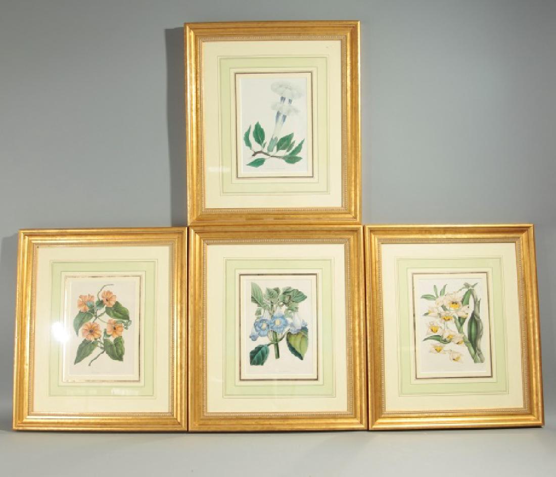 4 Gold-Framed Antique Botanical Prints wBluebell (1 of 9)