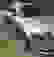 item-52859194=4