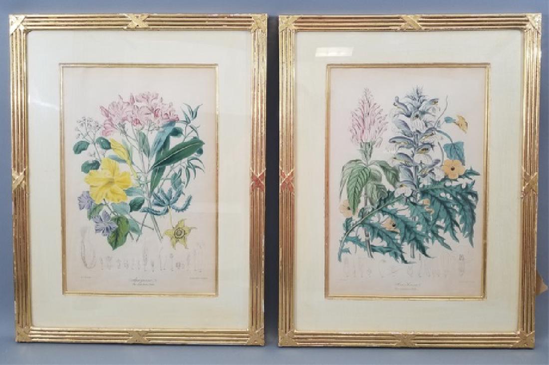 Pair Gold Leaf Framed Botanical Prints (1 of 9)