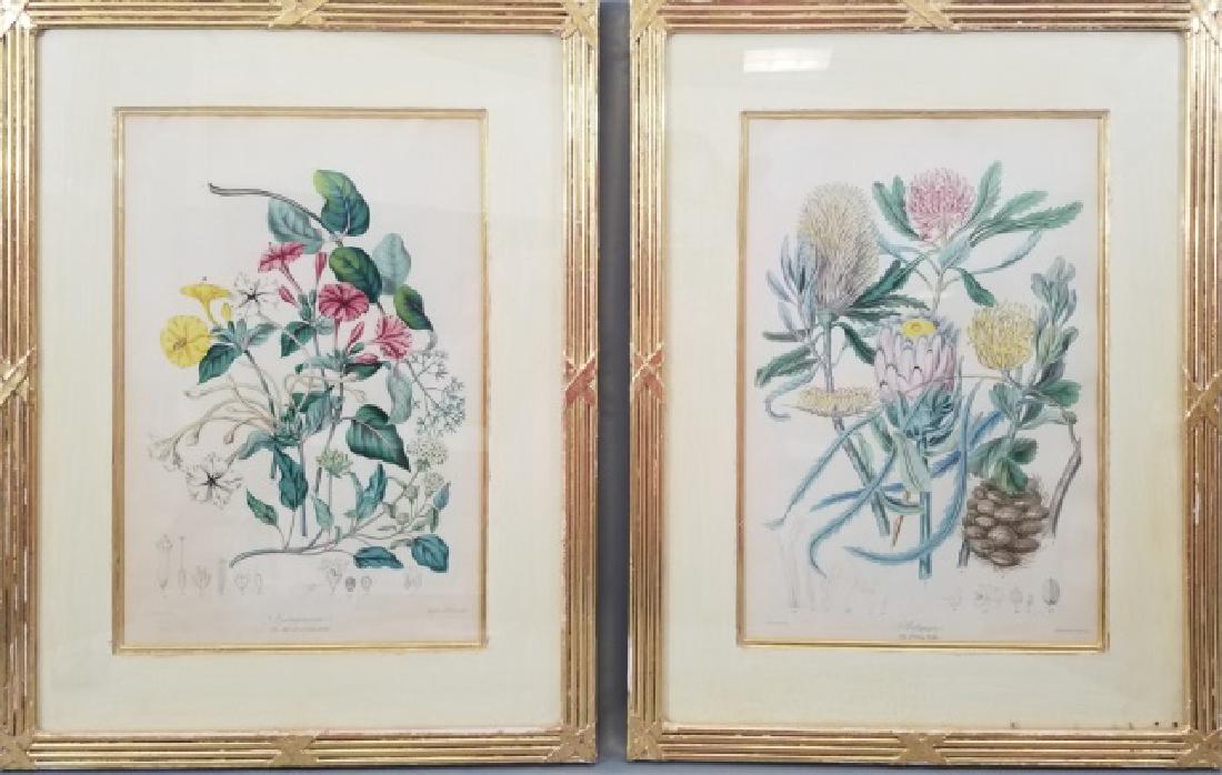 Pair Gold Leaf Framed Botanical Prints (1 of 10)