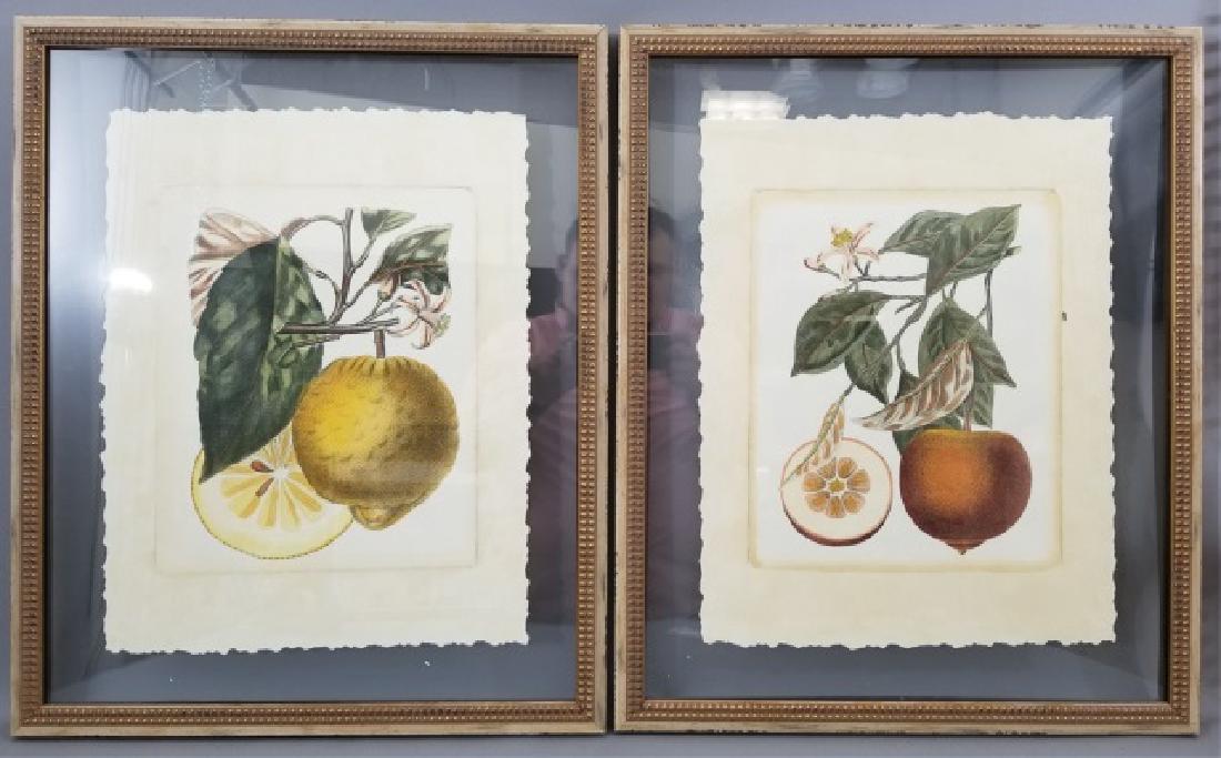 Pair Contemporary Custom Framed Botanical Prints (1 of 9)