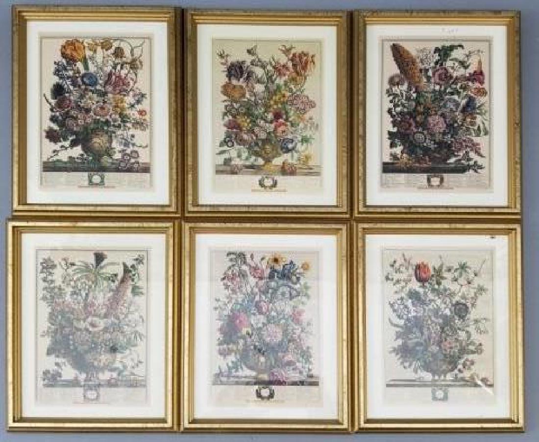 Group of 6 Framed Botanical Print Reproductions (1 of 10)