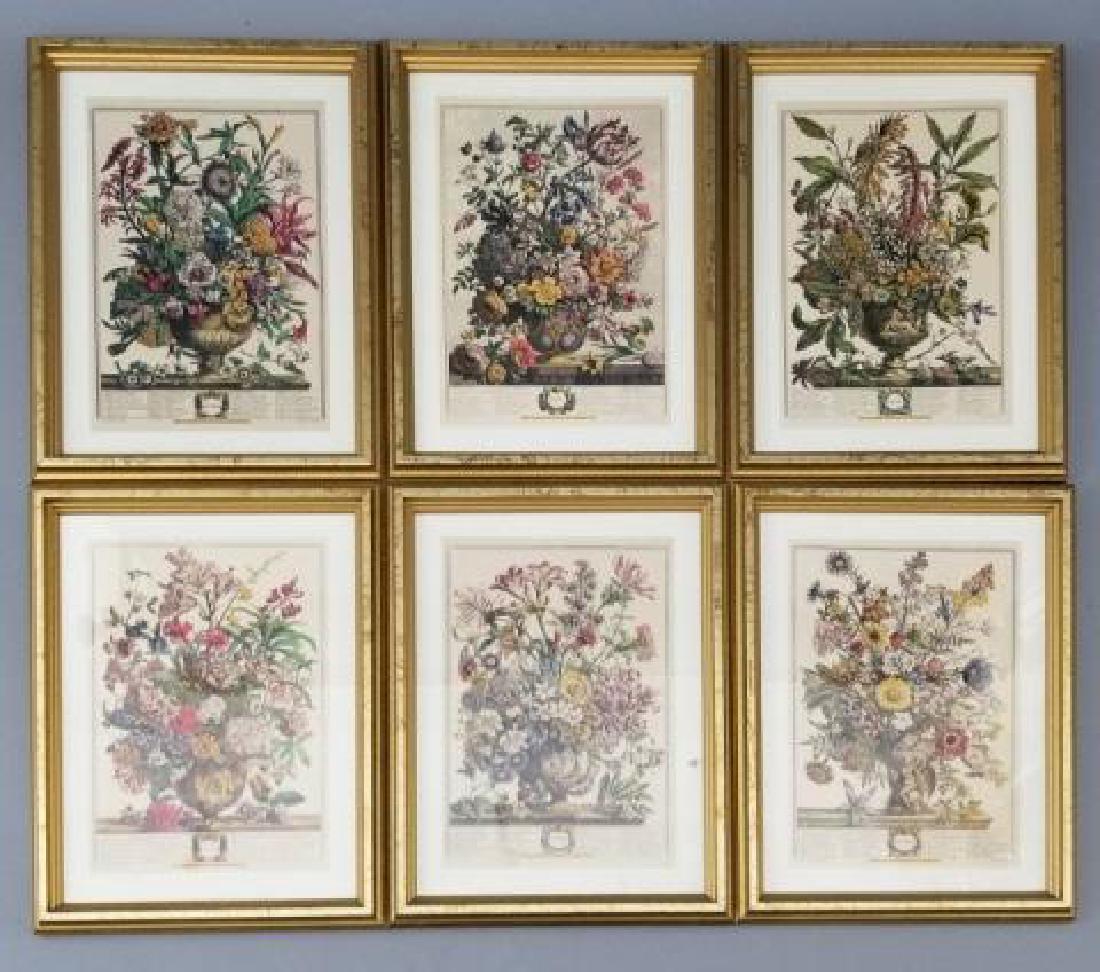 Group of 6 Framed Botanical Print Reproductions (1 of 10)