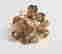 item-54290282=3