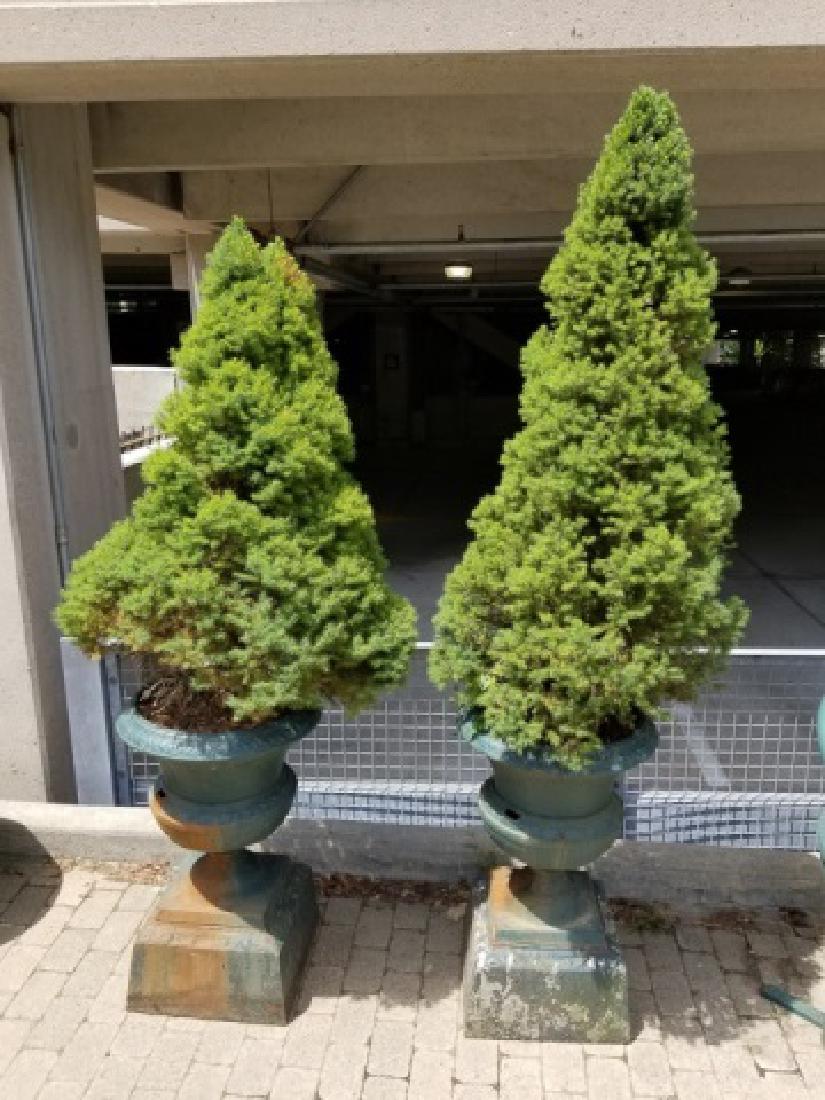 Pair of Antique Cast Neo Classical Urns on Bases (1 of 7)