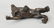 Bronze Table Statue - Detailed Roaring Pacing Lion - 2