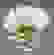 item-54721297=5