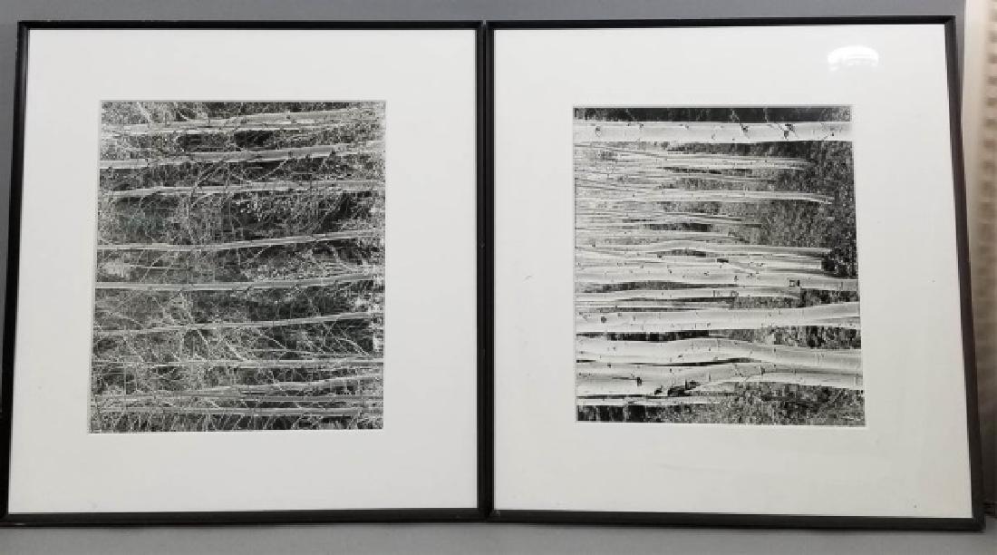 Pair Framed Black & White Photographs of Tree (1 of 5)