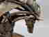 item-55160464=2