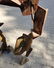 Abstract Joel Perlman Freeform Bronze Sculpture - 6