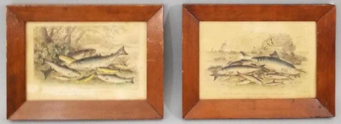 Pair Antique 19th C Hand Colored Fish Engravings (1 of 9)