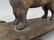 Vintage Cast Iron & Wood Figural Dog Nut Cracker - 8
