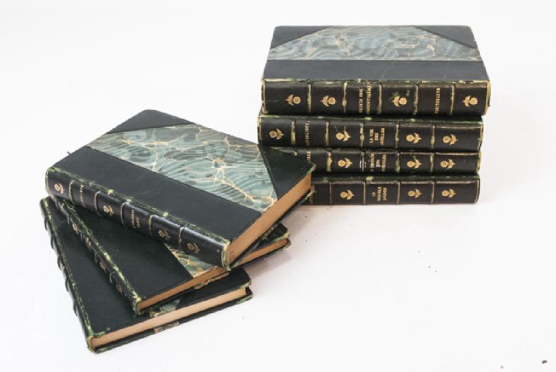 French Antique Leather-Bound Volumes-Maeterlinck (1 of 11)