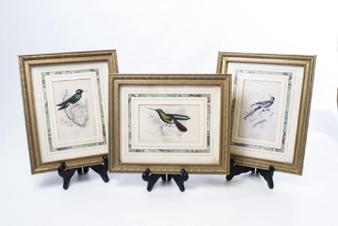 Trio Framed Hummingbird Prints wDecorative Mats (1 of 10)