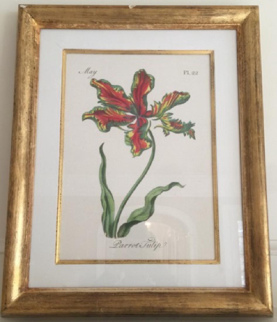 Custom Gold Leaf Framed Floral / Botanical Print (1 of 4)