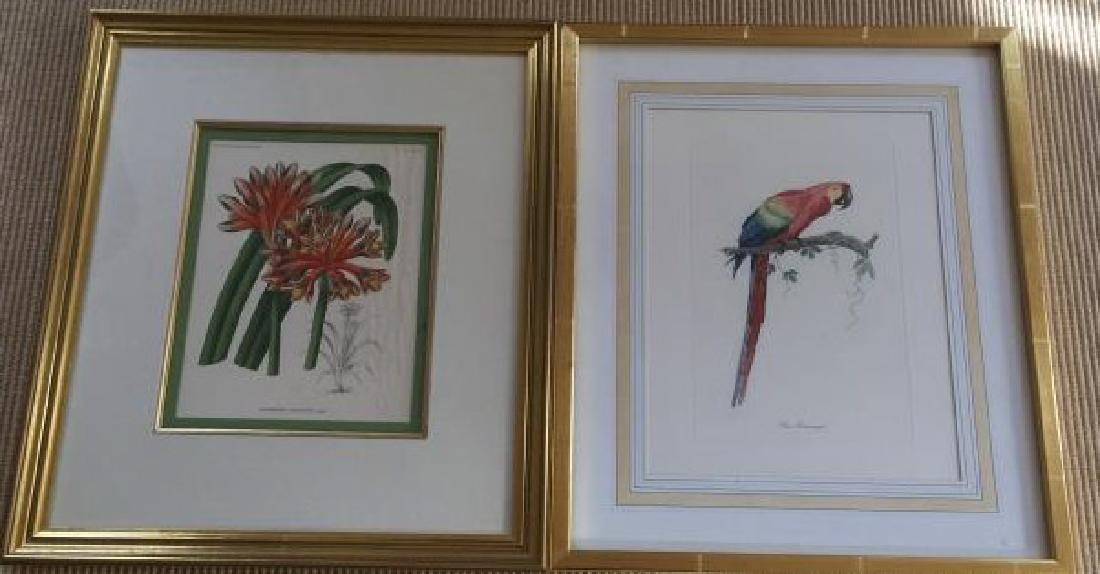 Custom Framed Prints - Botanical & Parrot (1 of 3)