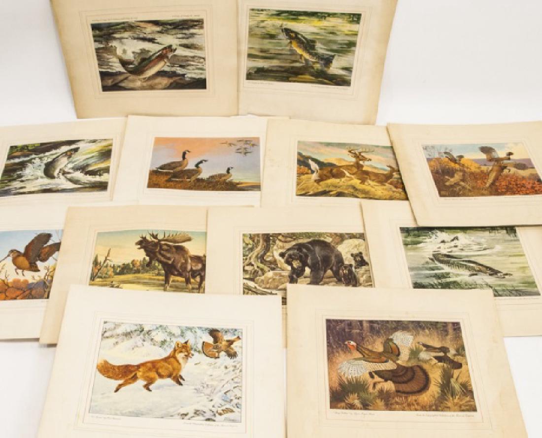 12 Seagram Distillers Corp Fishing Lithographs (1 of 8)