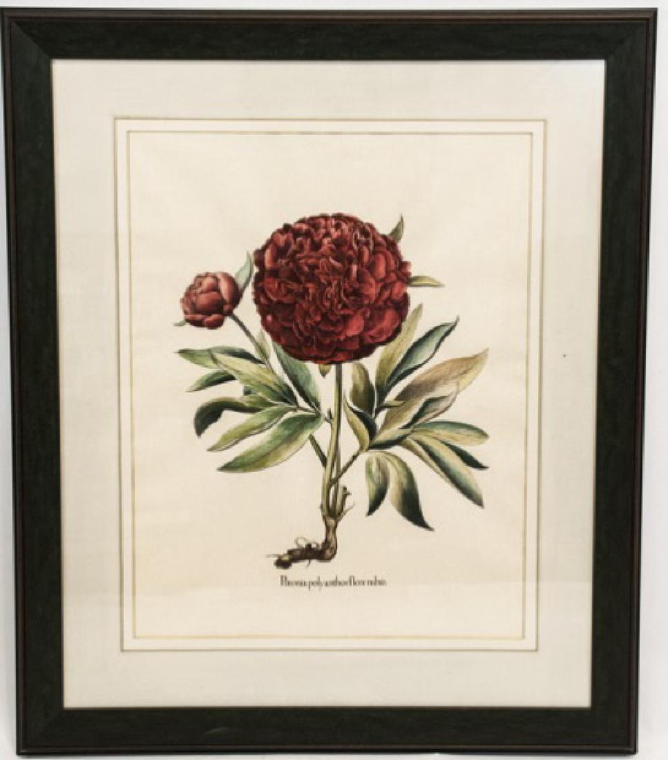 Quality Custom Distressed Wood Frame w Botanical (1 of 4)