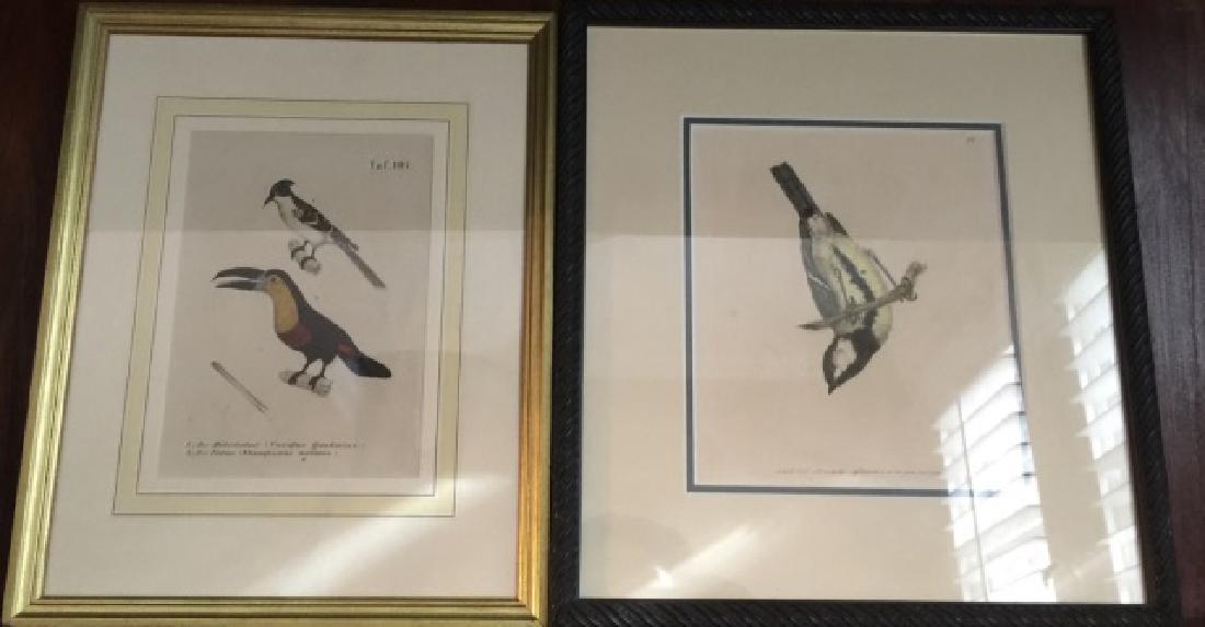 Two Custom Framed Antique Ornithological Prints (1 of 4)
