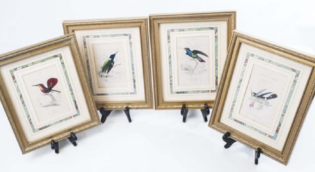 Set of Four Framed Bird / Ornithological Prints (1 of 9)