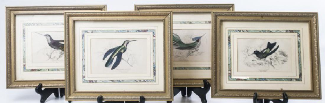 Set of Four Framed Bird / Ornithological Prints (1 of 9)