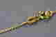 item-59388217=3
