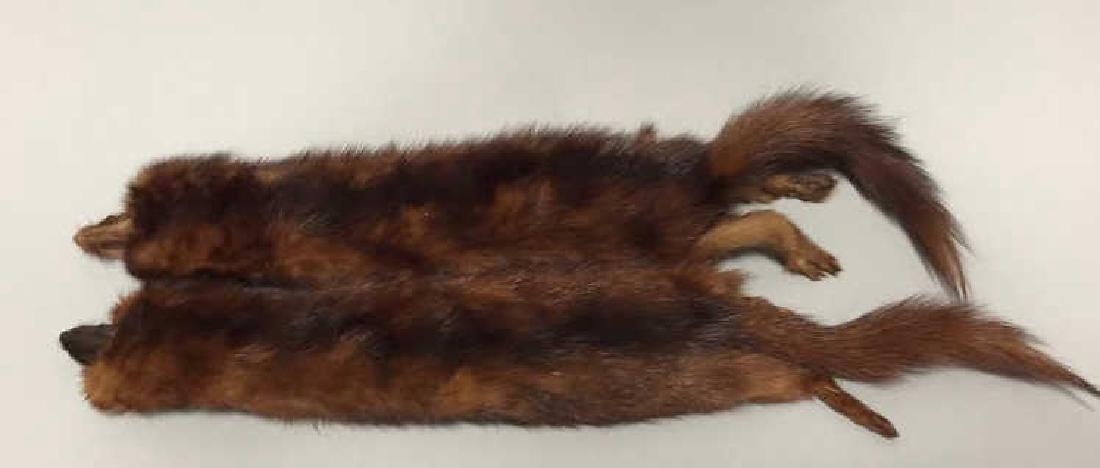 Two Antique Doll Accessory Fur Stoles / Scarves (1 of 3)