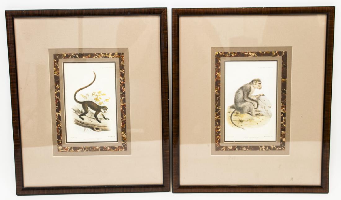 Pair of Framed Vintage J. Shmit Monkey Prints (1 of 9)