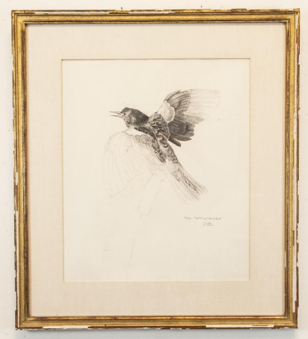 Signed Vintage Red Winged Blackbird Sketch (1 of 5)