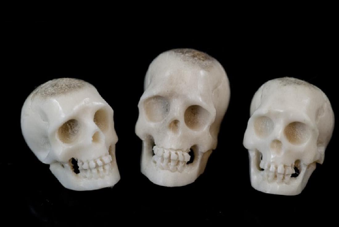 Three Hand Carved Horn Memento Mori Skulls: Three Hand Carved Horn Memento Mori Skulls. Hand carved antler or horn with nice detailing. Can be reused for jewelry making. Largest measures .75 of an inch in length.
