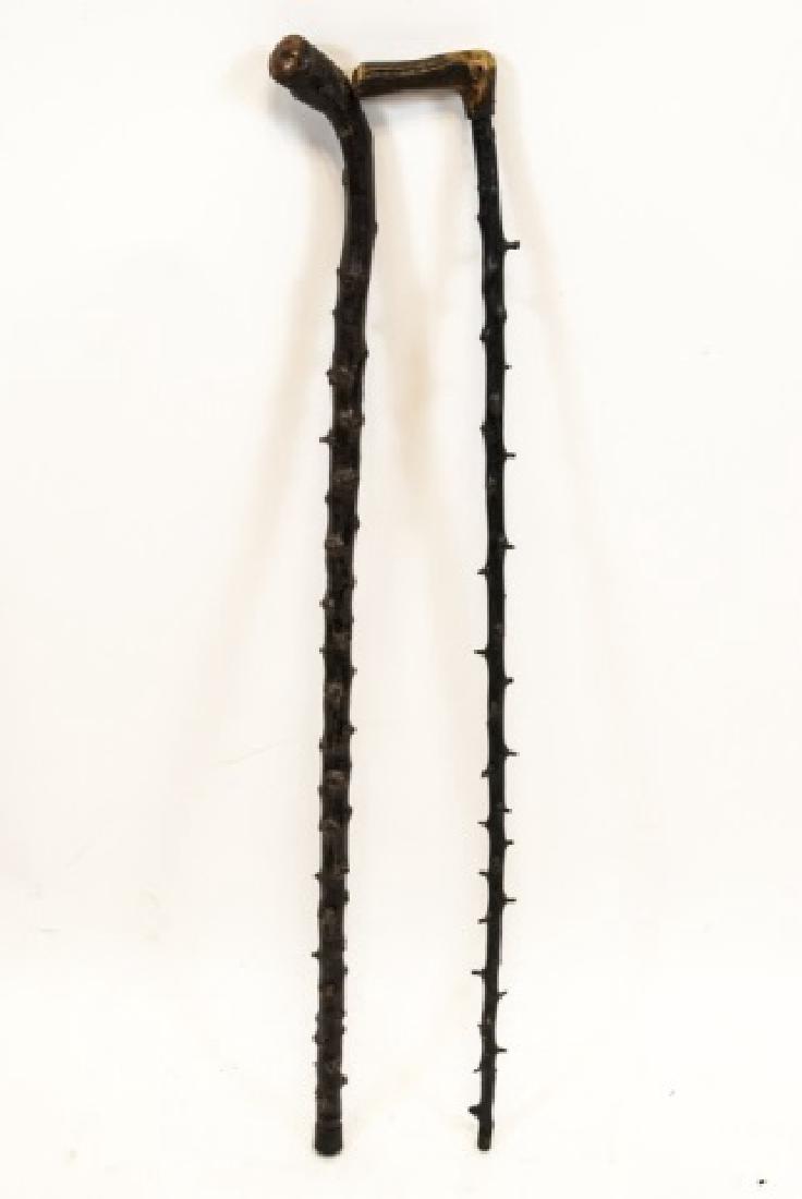 Two Blackthorn Shillelagh Canes / Walking Sticks (1 of 6)