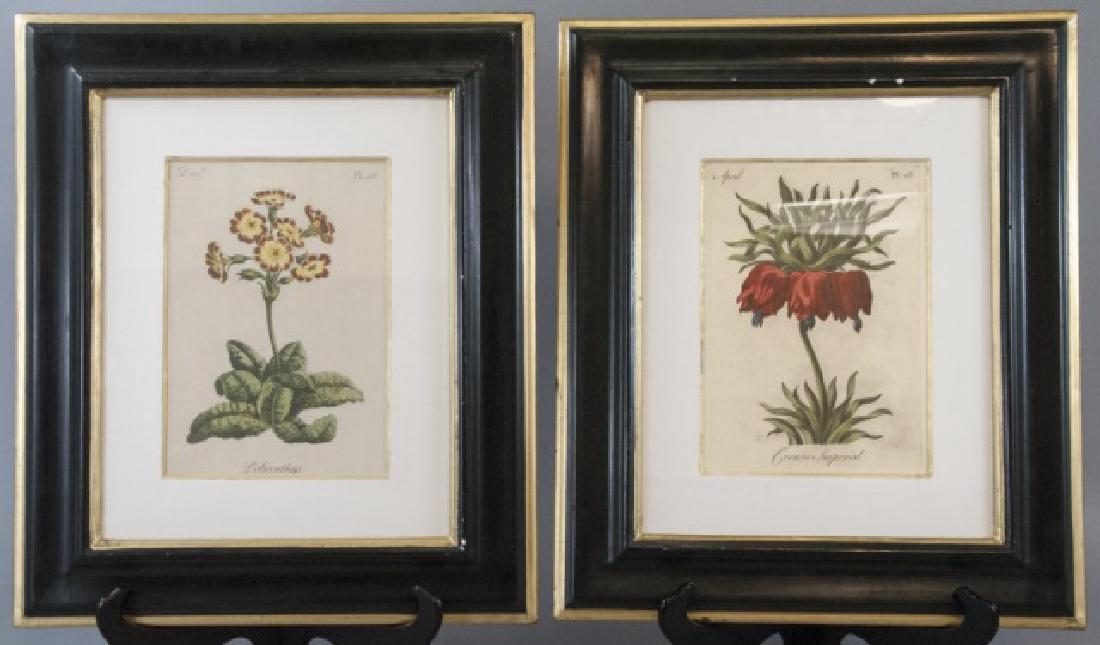Pair Of Framed Vintage Flower Paintings: Pair Of Framed Vintage Flower Paintings, this painting features a black and gold wood frame, with white matting, the painting themselves are of a Polyanthus flower and of a Crown Imperial flower, the