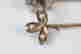 item-59967177=3
