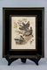 Vintage Framed Lithography Print Of Game Birds