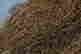 item-60039448=2