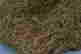item-60039448=6