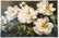 Oil on Canvas, Large White Peonies, Painting - 4