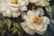 Oil on Canvas, Large White Peonies, Painting - 6