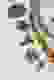item-61403725=3