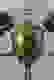 item-61403794=2
