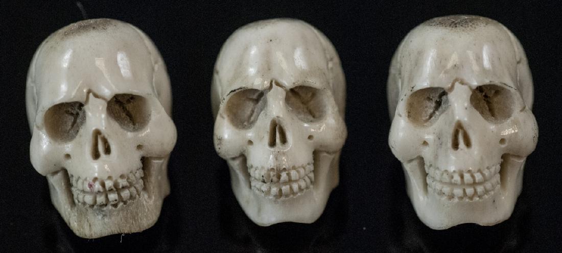 Three Memento Mori Carved Horn Skull Pendants (1 of 5)