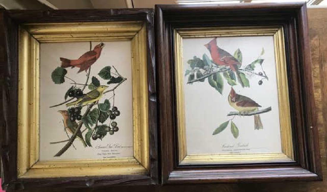 Pair 19th C Victorian Ornithological Framed Prints (1 of 3)