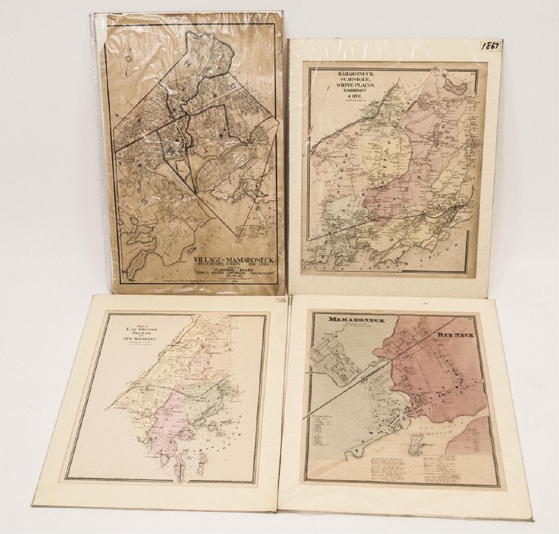 Antique Hand Colored Maps of Westchester County NY (1 of 10)