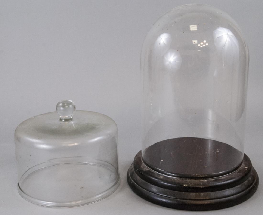 Antique 19th C Cloche Glass Dome Display w Stand (1 of 4)